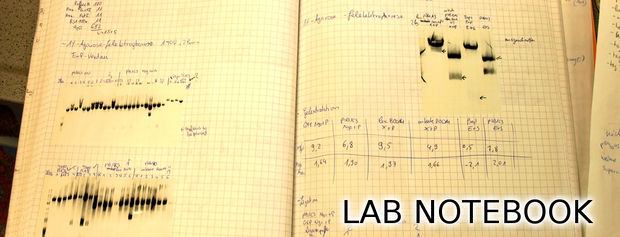 Lab Notebook Archival Services in San Francisco  