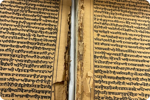 Scanning Digitization and Archival Services