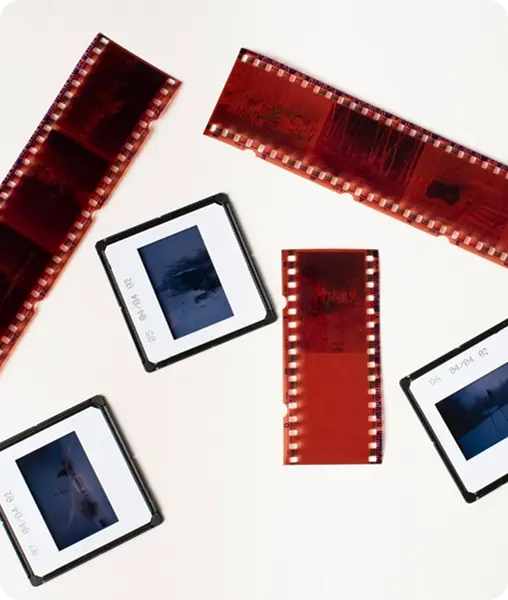 Scan Prints, Slides & Negatives