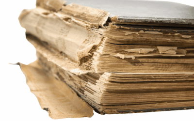 Destructive vs Non-Destructive Book Scanning: Decision Guide